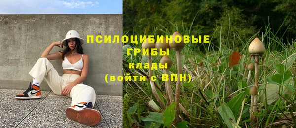 spice Майский