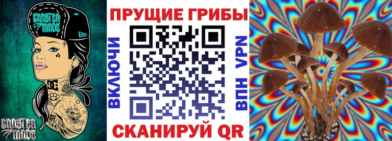 Псилоцибиновые грибы MAGIC MUSHROOMS  дарнет шоп  Межгорье 